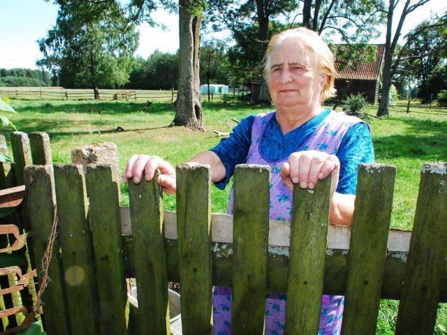 „Korrida” w Kiełbasach, byk atakuje 69-letnią kobietę